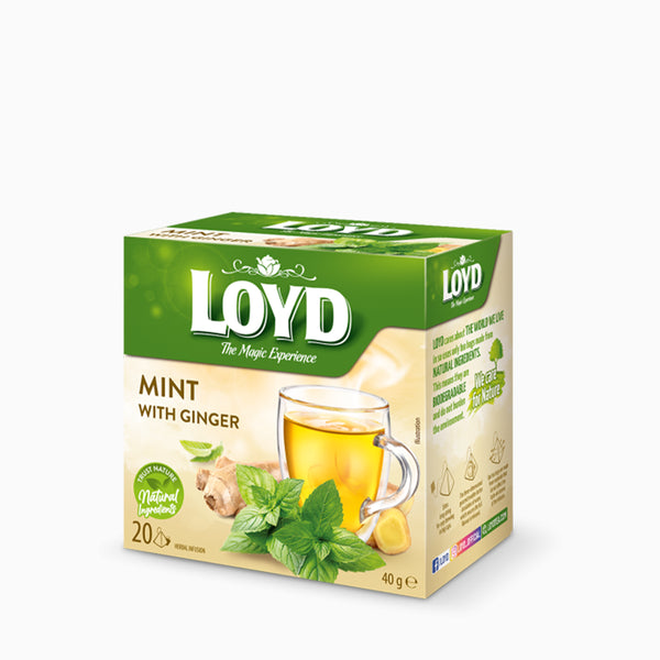 Loyd Mint Tea with Ginger